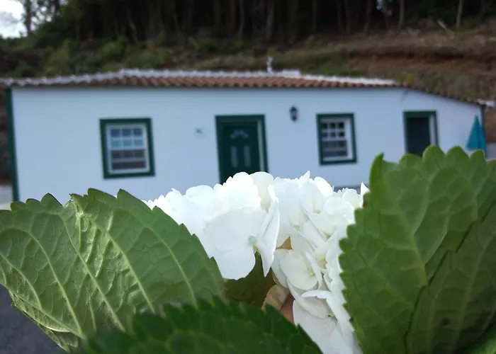 Semesterbostad Casa Dos Valentes *